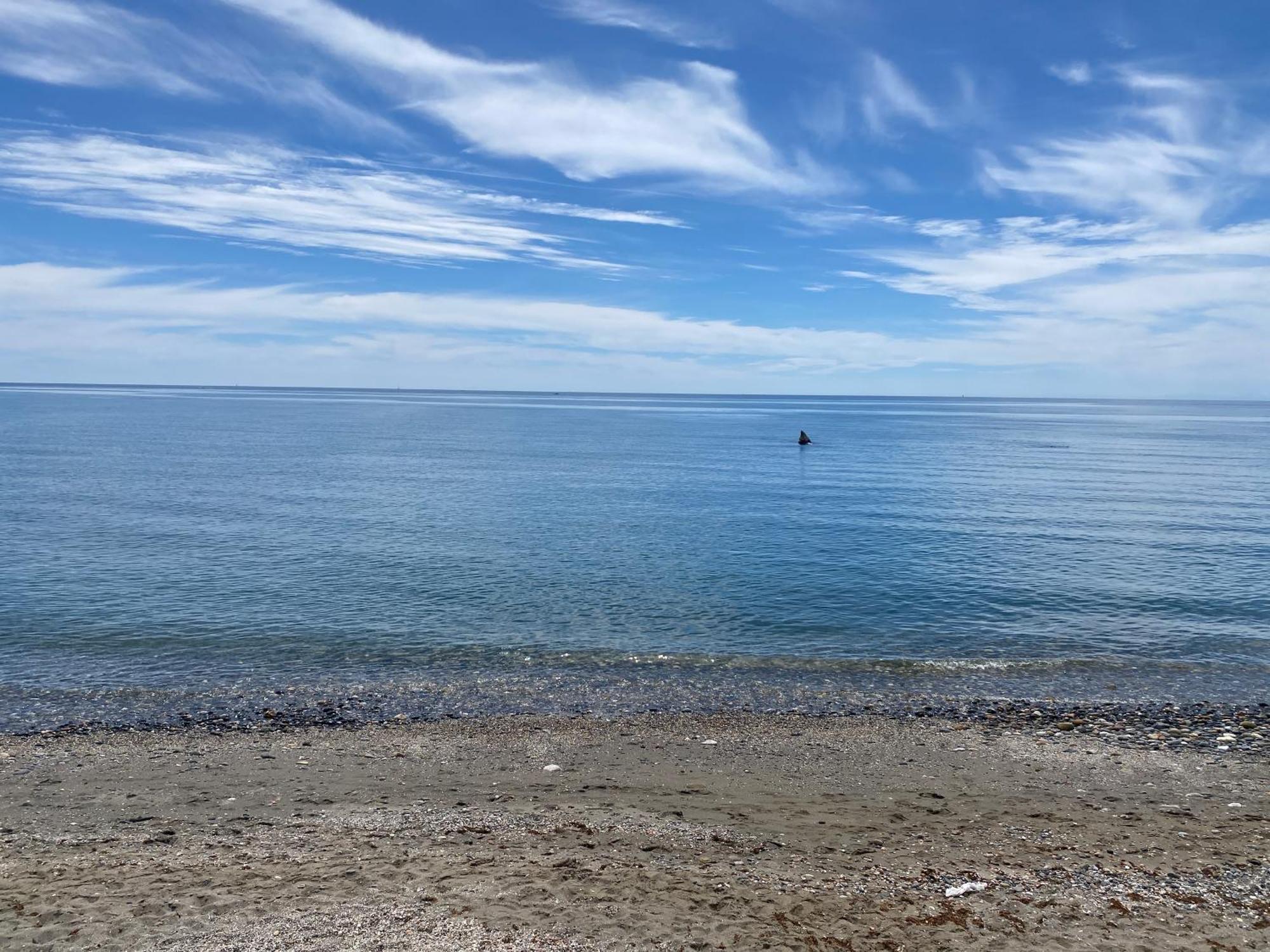 Bahia De Estepona Esterno foto
